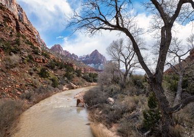 Pathway to Zion