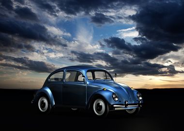 Beetle on the road