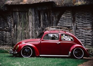 Beetle Matic