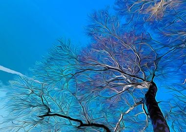 Blue trees