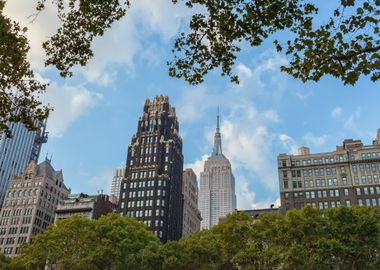 New York Skylines