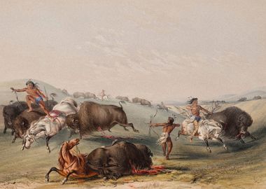 Indians Hunting Buffalo