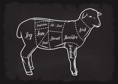 Butcher Cuts of Lamb