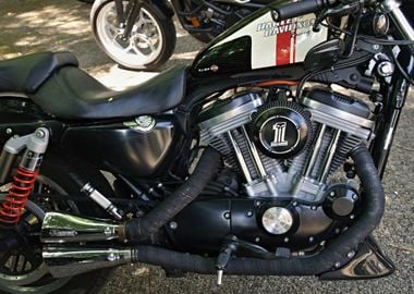 Harley Davidson Racing 04