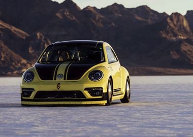 Volkswagen Beetle LSR