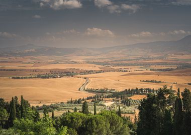 Tuscan Countryside