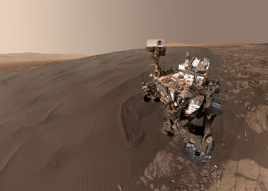 Curiosity selfie