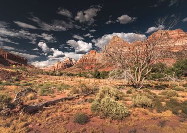 Zion National Park