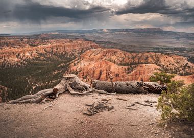 Bryce Canyon Landscape