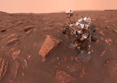 Curiosity selfie