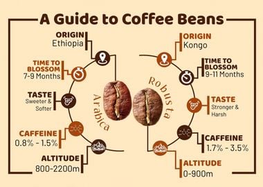 coffee guide cool