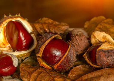 Chestnuts