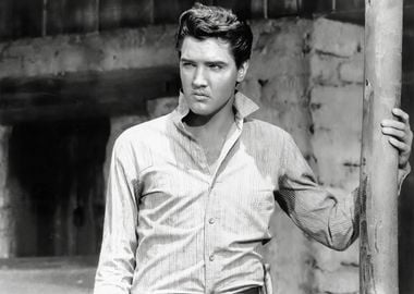 Elvis Presley photo 12