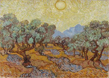 van Gogh Olive Trees 1889 