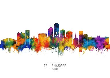 Tallahassee USA Skyline