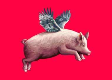 When pigs fly