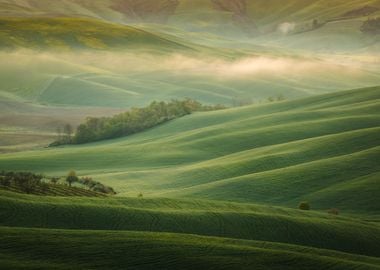 Field italy toscany spring