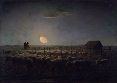 The Sheepfold Moonlight