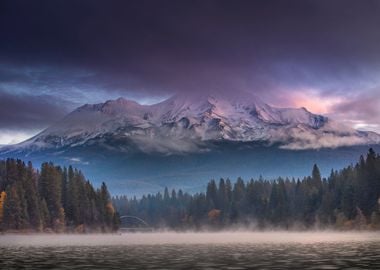 Misty autumn forest