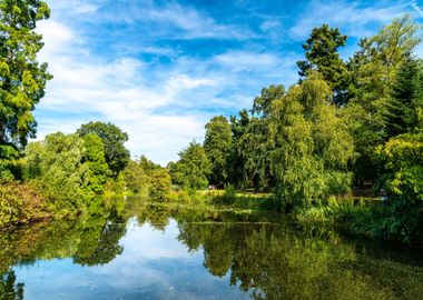 Lake in london 