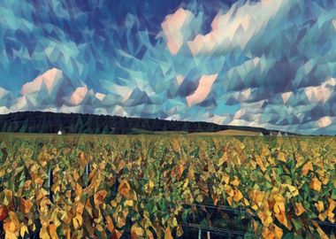 Vineyards in Burgundy