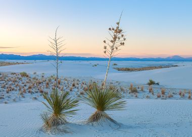 White Sand Dunes