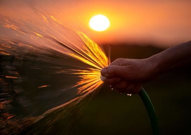 Splashes water at sunset