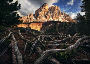 Dramatic Mountain Vista