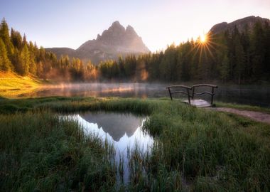 Calm Alpine Summer Morning