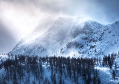 A Mountain Snowstorm