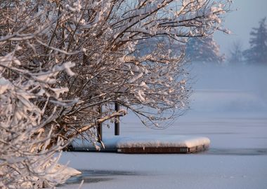 Winter morning