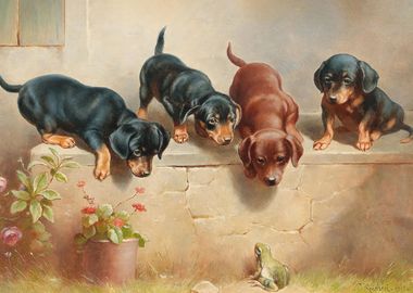 Curious dachshund puppies