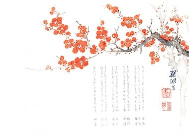 Japanese plum blossom