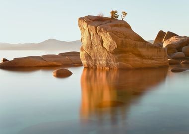 Bonsai Rock