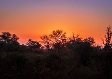 Sunset in Kruger Park