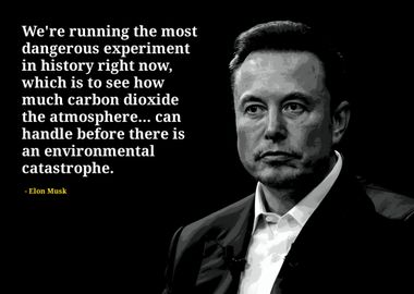 Elon Musk quotes