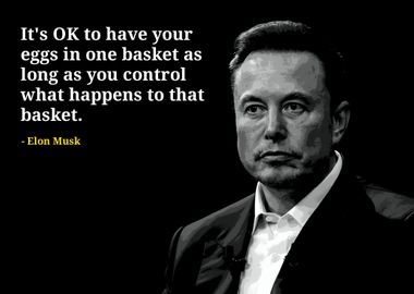 Elon Musk quotes