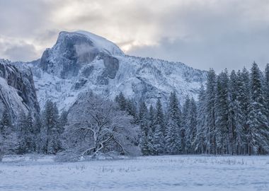 Half Dome