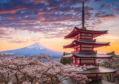  Chureito Pagoda Fuji san