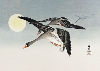 Birds at Full Moon