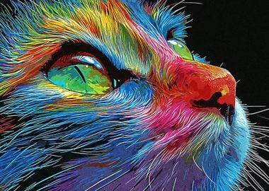 Painting Cat Colorful