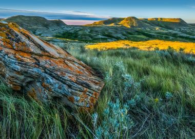 Grasslands National Park