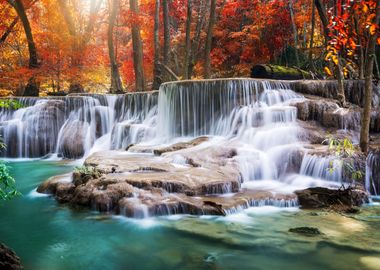 autumn forest in thailand