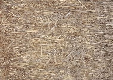 Hay bale texture closeup p