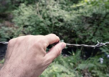 Hand barbed wire nature bl