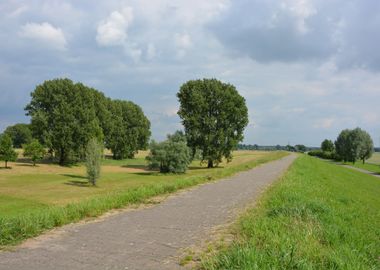 Countryside Asphalt Alley