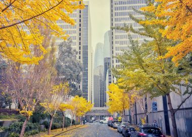 Winter in San Francisco