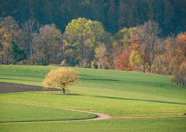 Green Countryside