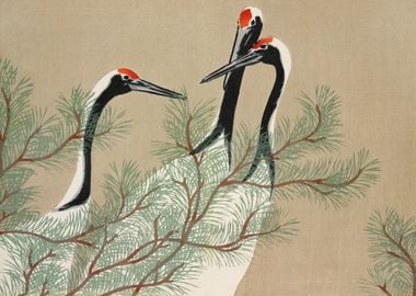 Cranes From Momoyogusa