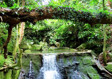 Mystical Waterfall